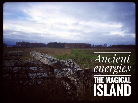 natur energy betina huber