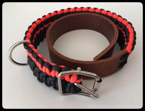 Orange/Svart Hundhalsband