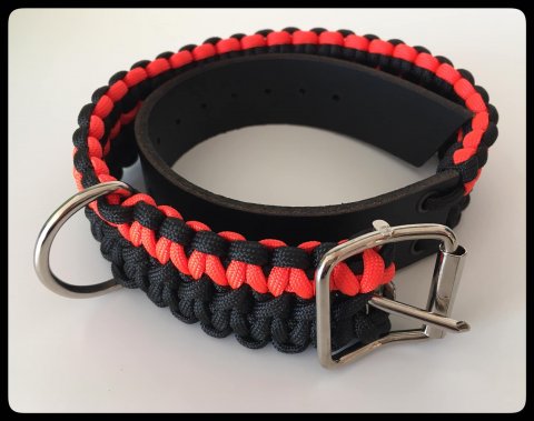 Orange/Svart Hundhalsband