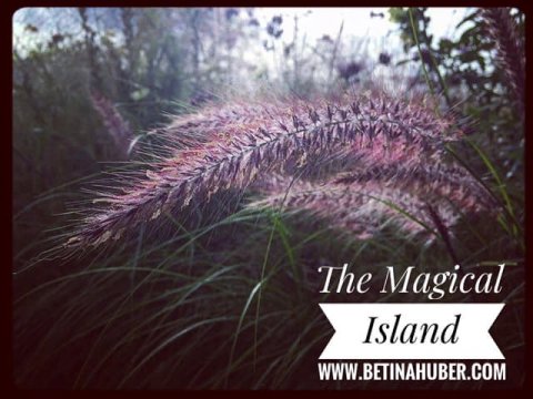 öland betina huber fotografi