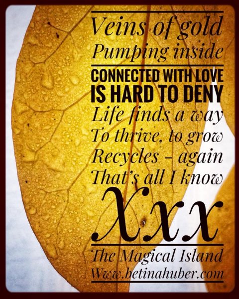 nature quotes öland betina huber