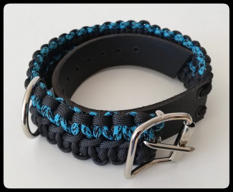 Bl/Svart Hundhalsband