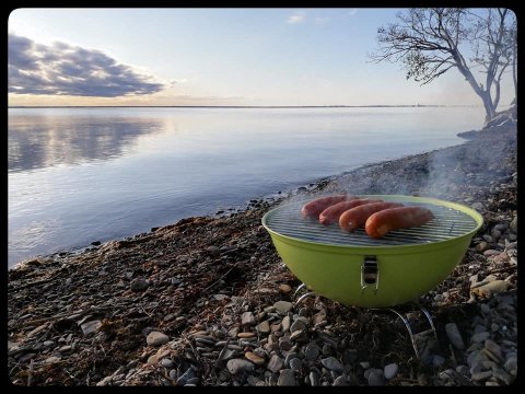 betina huber öland natur foto