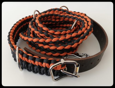 Orange/Svart Hundhalsband & Koppel
