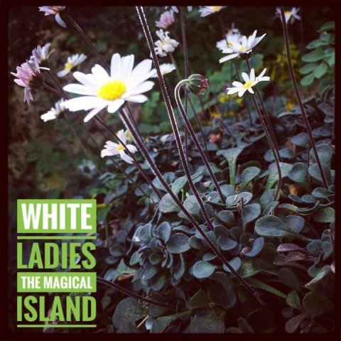 betina huber öland natur