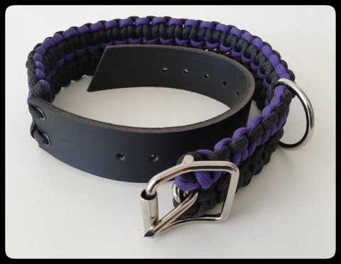 Lila/Svart Hundhalsband