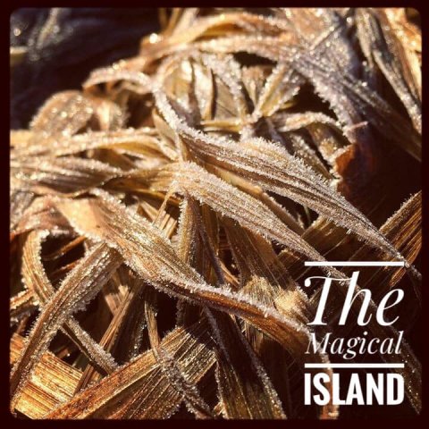 betina huber island öland