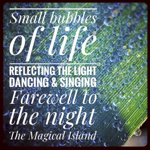 öland betina huber fotografi