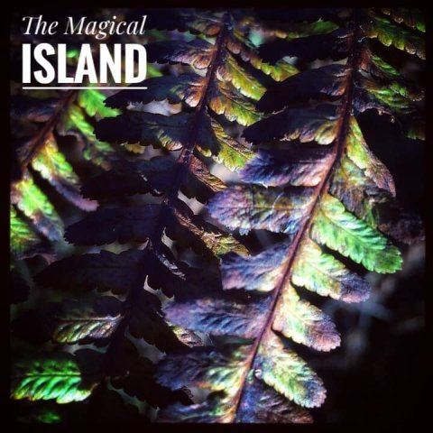 öland natur betina huber