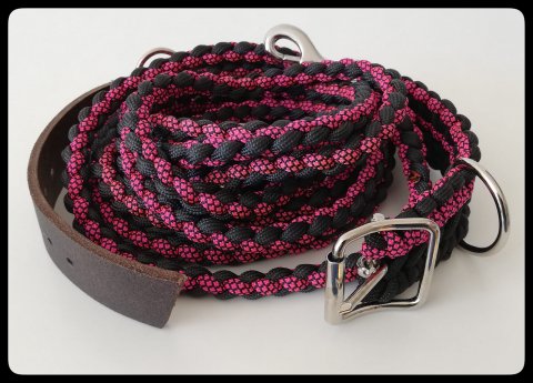 Hundhalsband & koppel