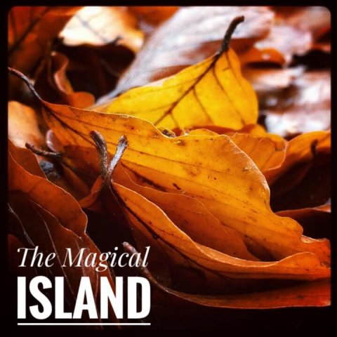 natur sverige betina huber