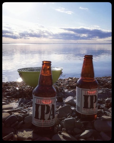 betina huber öland natur foto