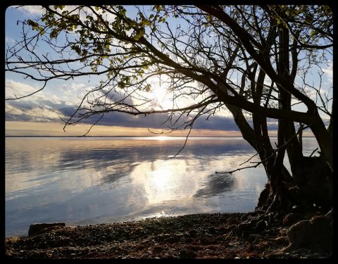 betina huber öland natur foto