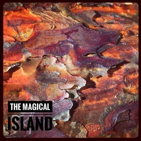 öland betina huber natur