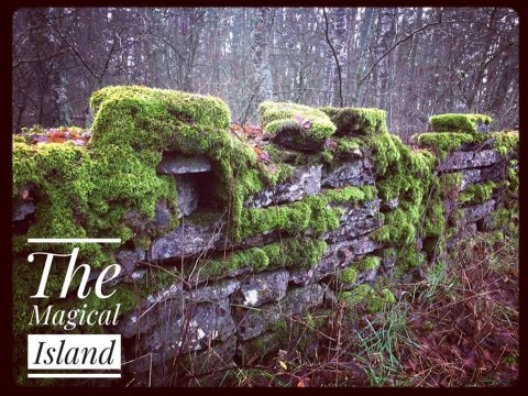 öland natur betina huber