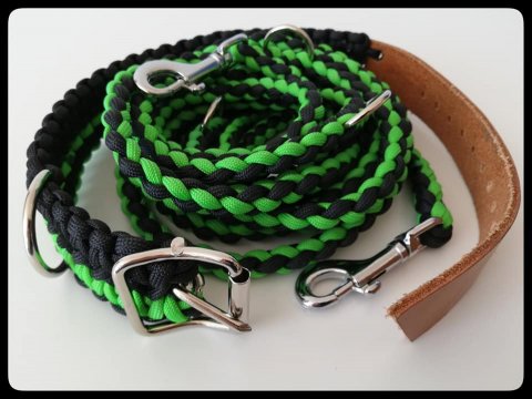 Grn/Svart Hundhalsband & Koppel