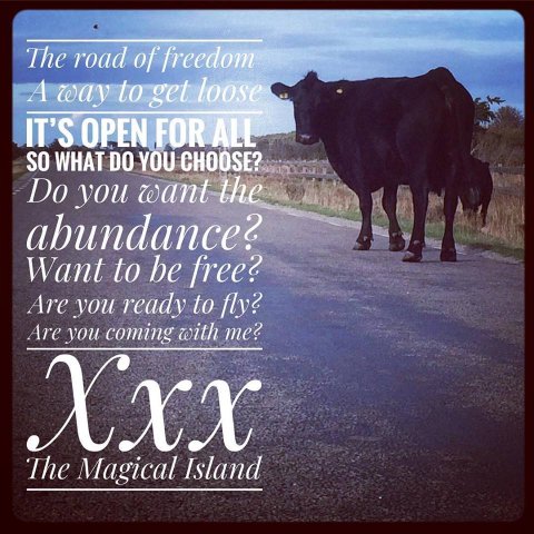 öland the magical island