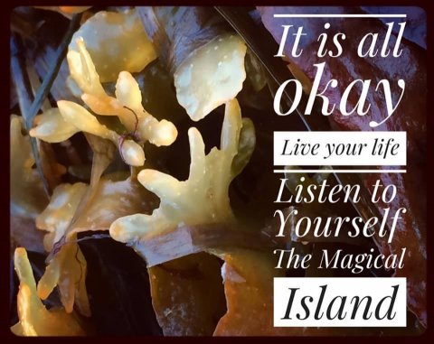 natur öland betina huber