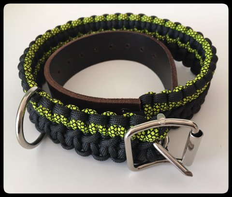 Citrongrn/Svart Hundhalsband