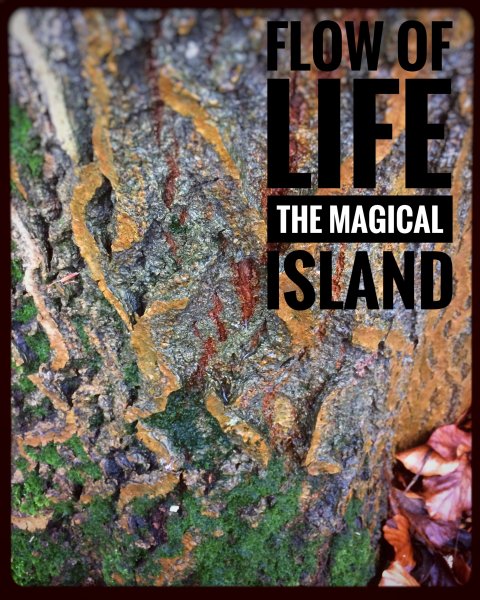 natur öland betina huber