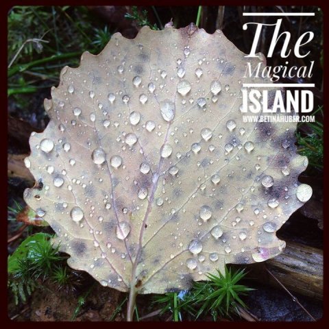 nature betina huber sweden