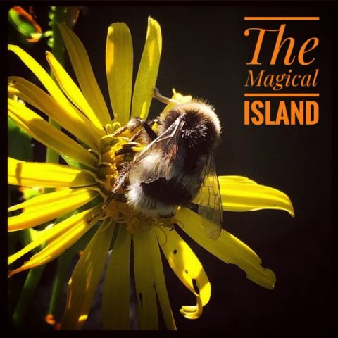 natur öland betina huber