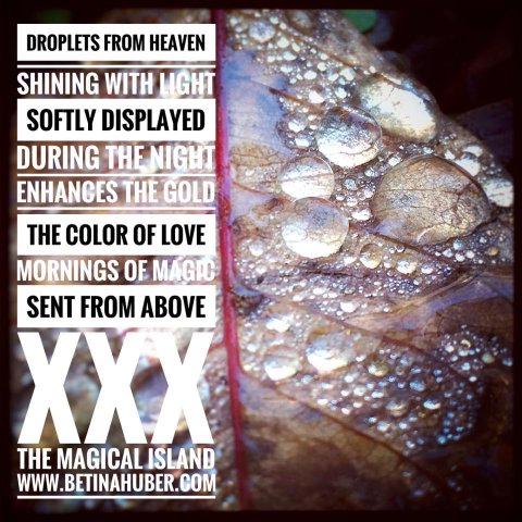 öland trädgård betina huber