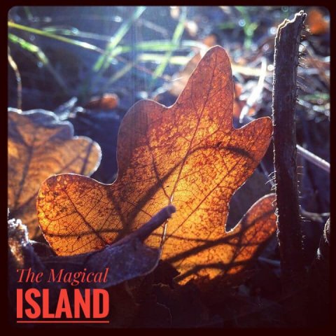 betina huber natur öland