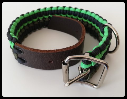 Grn/Svart Hundhalsband